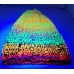 TYD-1214 : Childrens Slouchy Blacklight Neon Knitted Hat at HatsForDogs.com