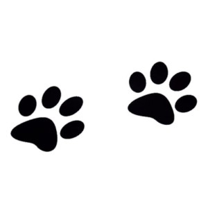 RTD-1672 : Large Paw Print Floor Decal Cling at HatsForDogs.com