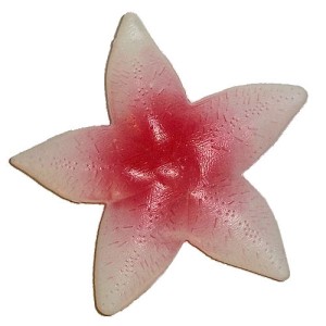RTD-1770 : Plastic Starfish Decoration at HatsForDogs.com