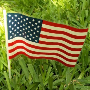 RTD-2401 : Small Plastic American Flag at HatsForDogs.com