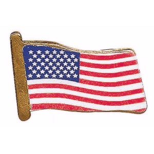 RTD-3316 : Metal USA Flag Pin at HatsForDogs.com