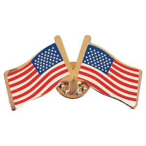 RTD-3317 : Metal Double USA Flag Pin at HatsForDogs.com