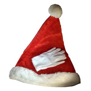 RTD-3878 : Plush Santa Hat and White Gloves Set for Adults or Children at HatsForDogs.com