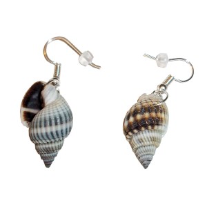 RTD-3998 : Pair of Spiral Shell Earrings at HatsForDogs.com
