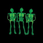 Small Glow-in-the-Dark Plastic Skeletons