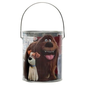 RTD-4153 : Disney Secret Life of Pets Mailbox with Valentines and Stickers at HatsForDogs.com