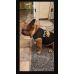 RDD-1005 : Police K-9 Unit Puppy Dog Costume Vest - Size Extra Small at HatsForDogs.com